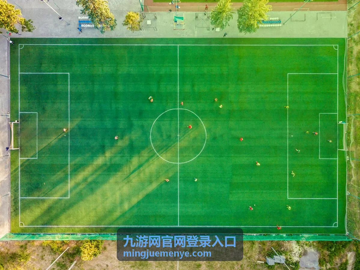 九游网官网登录入口登录异常时核对设备与网络示意