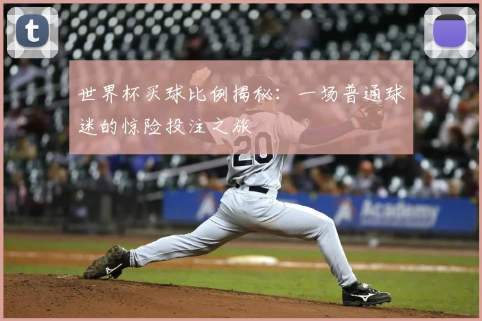 世界杯买球比例揭秘:一场普通球迷的惊险投注之旅