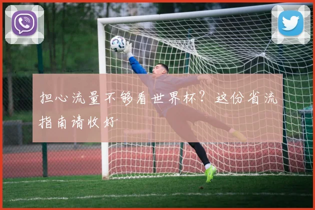 担心流量不够看世界杯?这份省流指南请收好