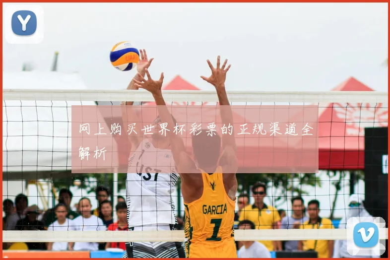 网上购买世界杯彩票的正规渠道全解析